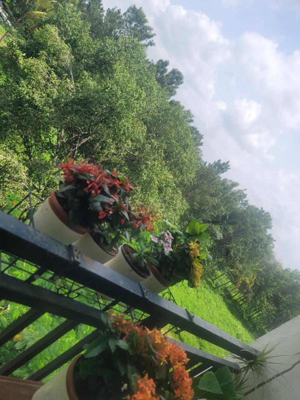 Serene Home Stay บังกาลอร์ ภายนอก รูปภาพ